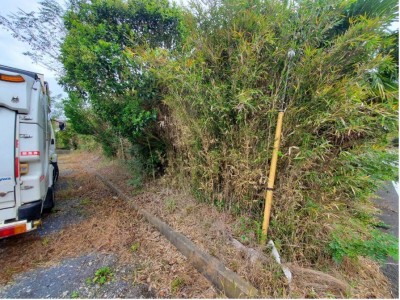 伐採・剪定する駐車場脇の作業前