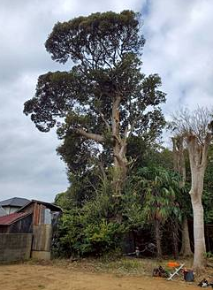 スクリーンショット 2026-04-21 131341