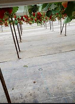 スクリーンショット 2026-04-21 133342